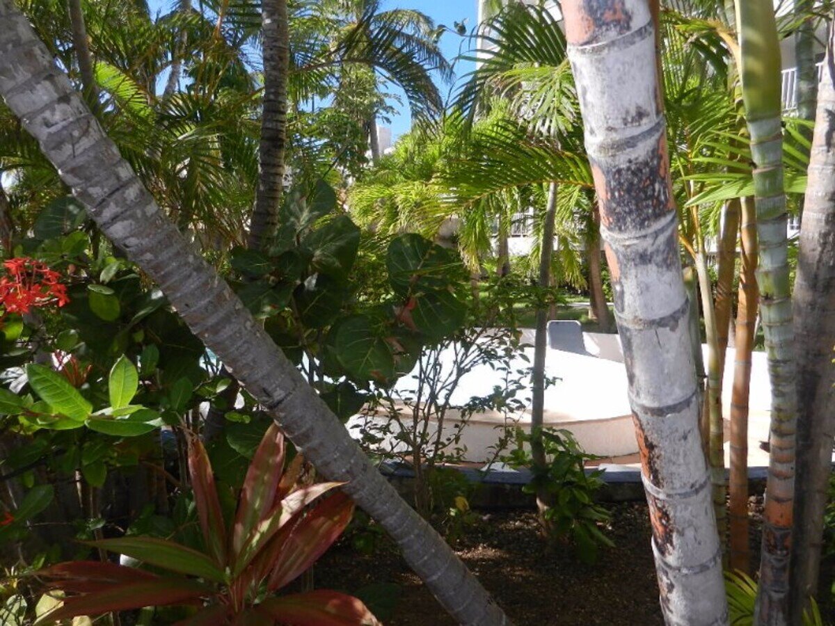 Studio, Sapphire Beach Club Hotel St. Maarten SXM