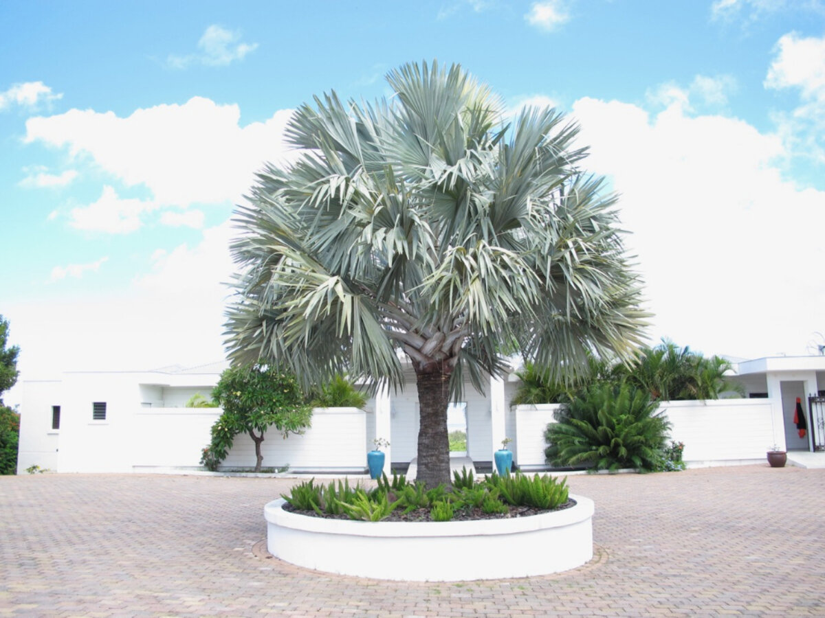 Luxury Villa, Terres Basses, St. Martin SXM
