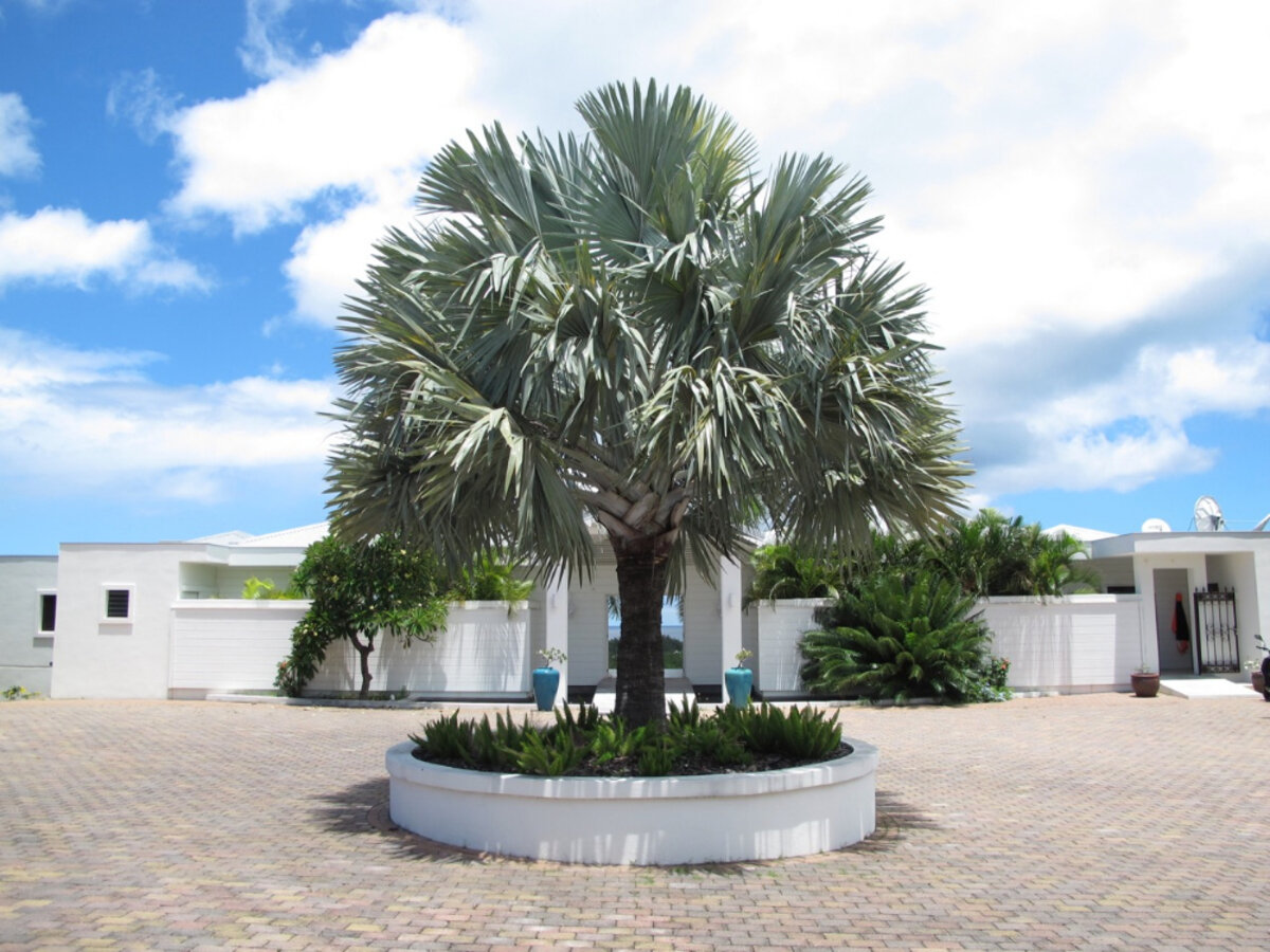 Luxury Villa, Terres Basses, St. Martin SXM