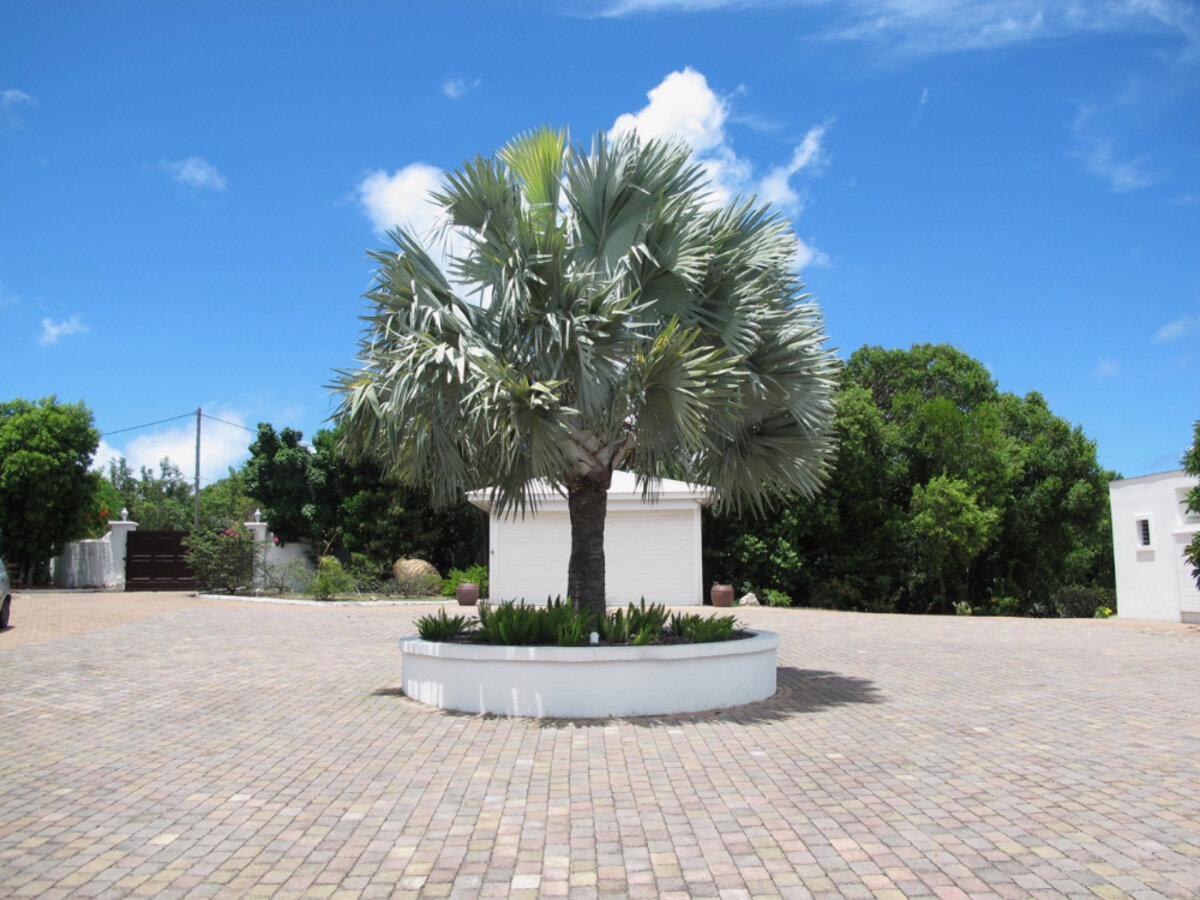 Luxury Villa, Terres Basses, St. Martin SXM