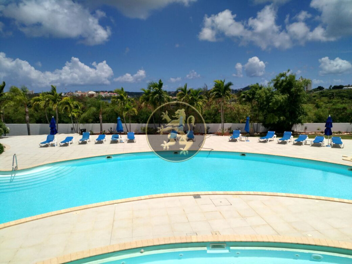 A Haven of Elegance for this Stunning Penthouse