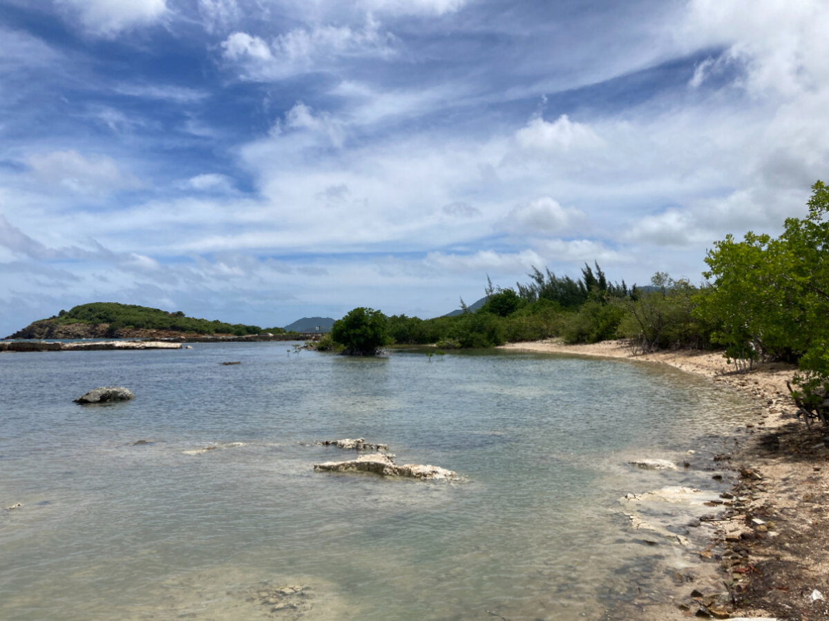 Terrain cote Baie Rouge Terres Basses