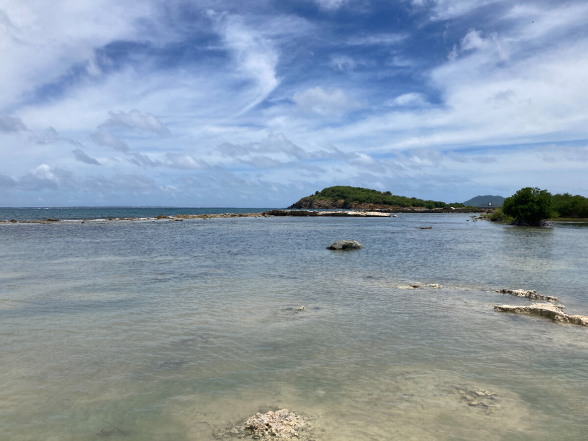 Terrain cote Baie Rouge Terres Basses