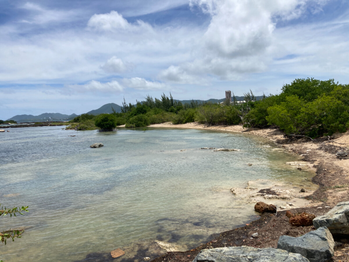 Terrain cote Baie Rouge Terres Basses
