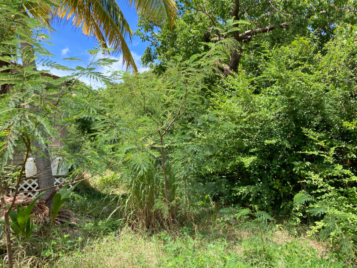 Terrain cote Baie Rouge Terres Basses