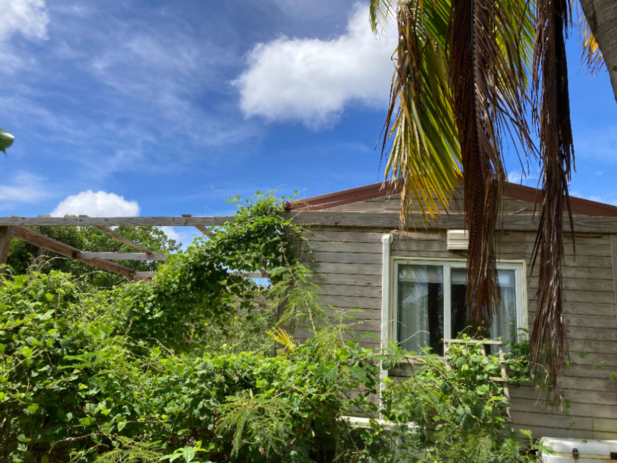 Terrain cote Baie Rouge Terres Basses