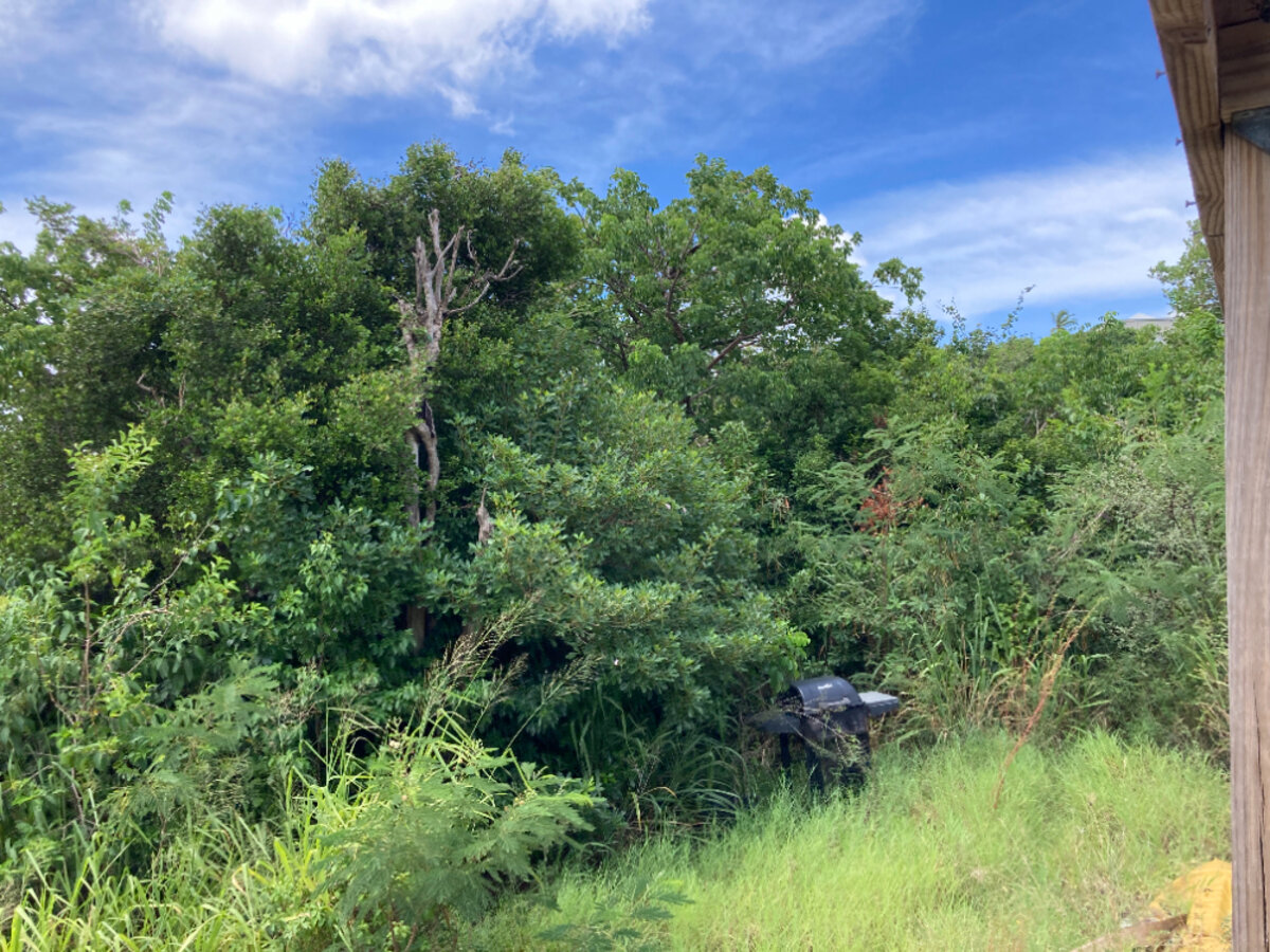 Terrain cote Baie Rouge Terres Basses