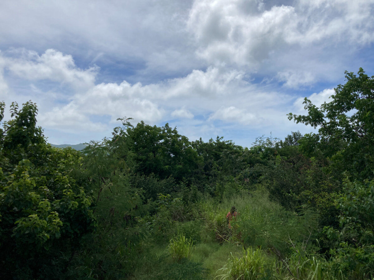 Terrain cote Baie Rouge Terres Basses