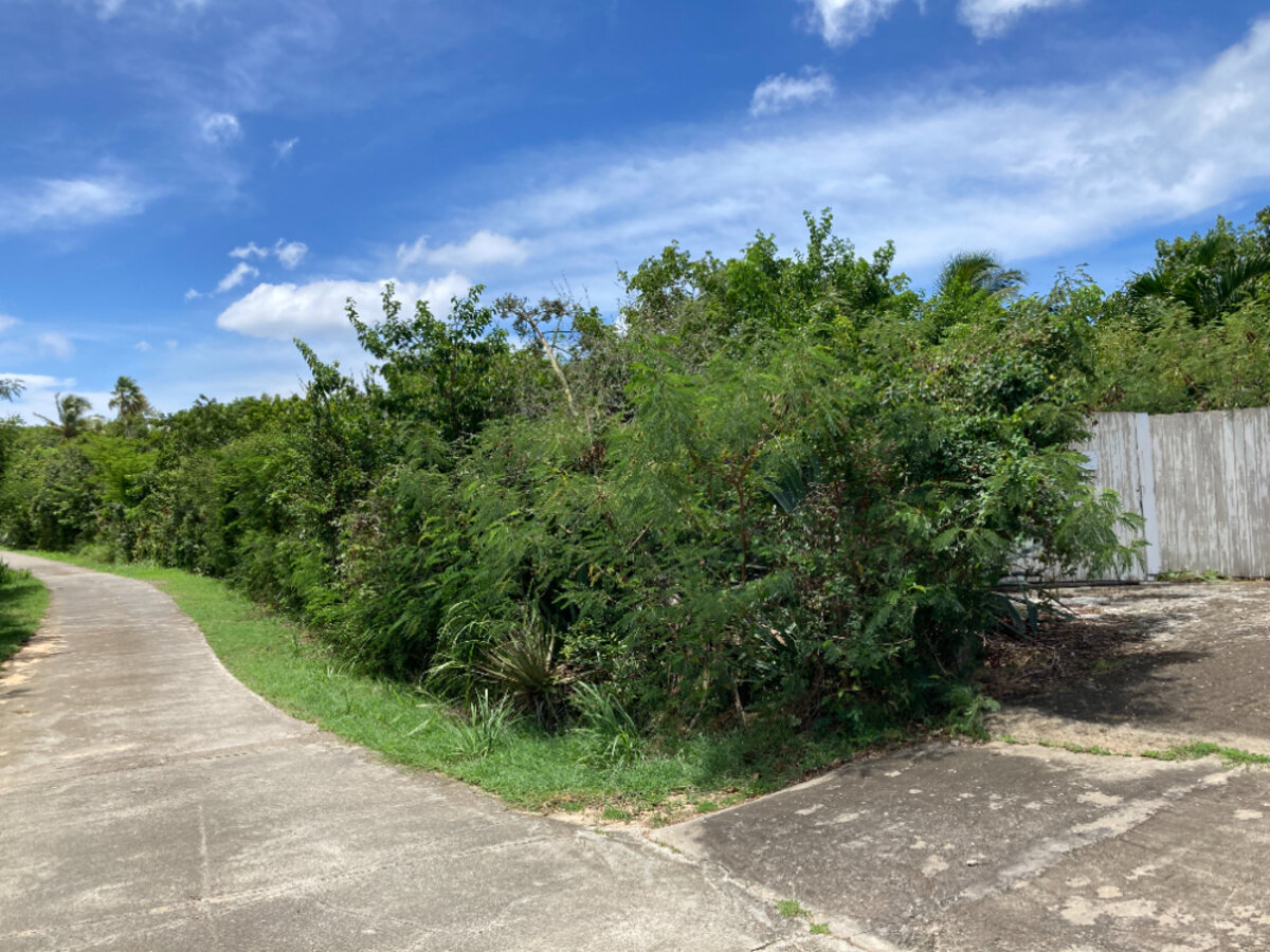 Terrain cote Baie Rouge Terres Basses