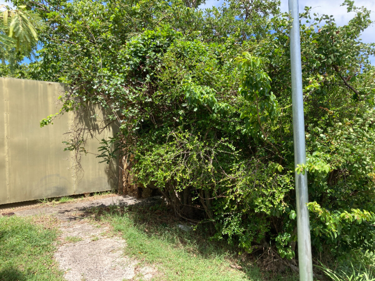 Terrain cote Baie Rouge Terres Basses