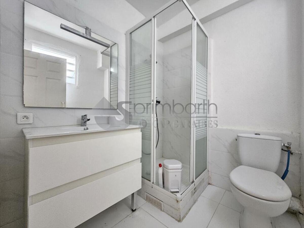 Maison 3 Chb piscine + 3 Apt