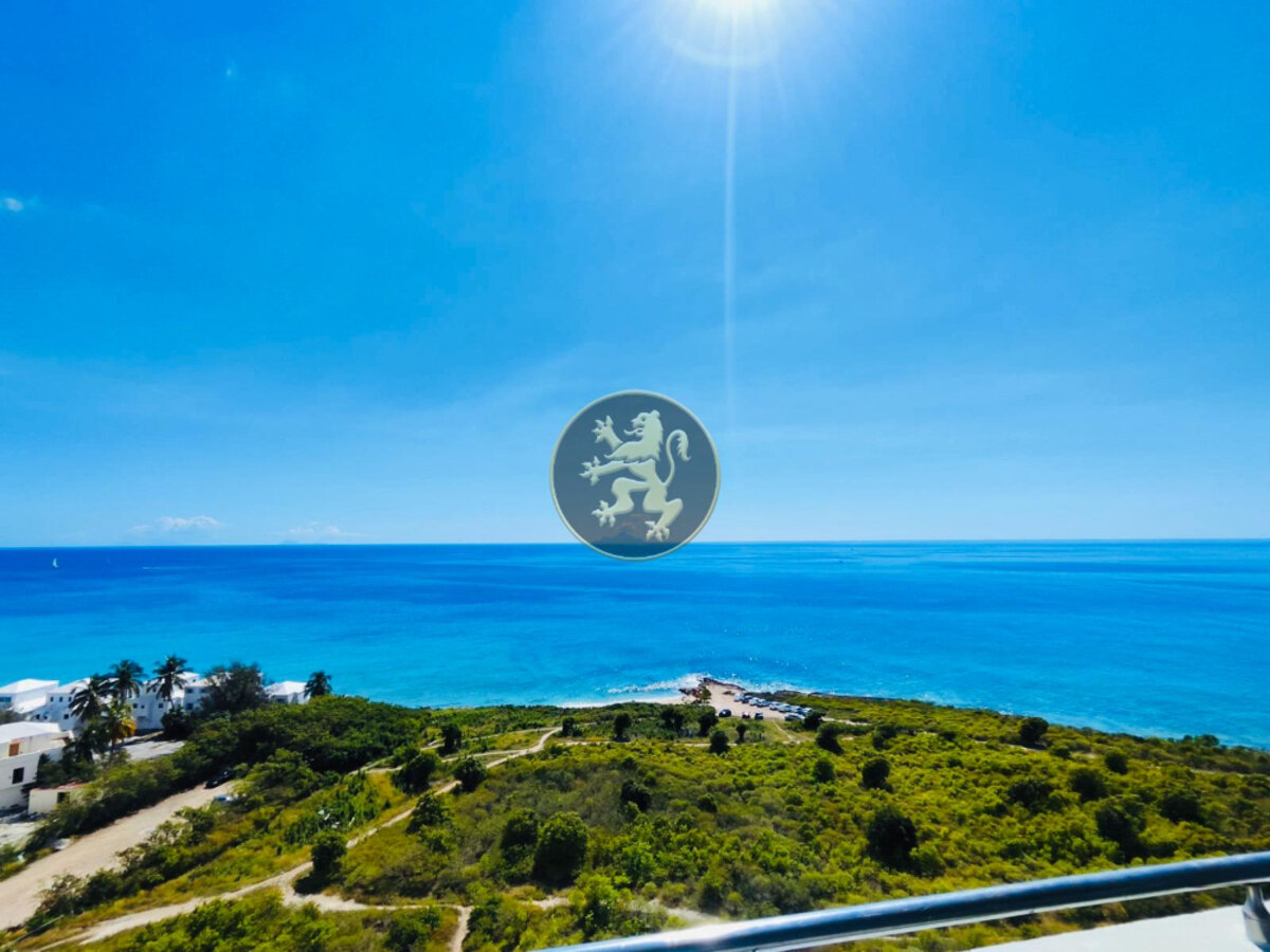 🔸2BR/2BA CONDO🔸📍Cupecoy #213