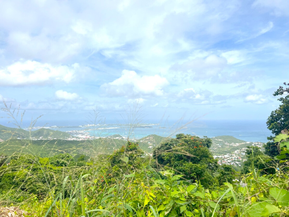 Land Pic Paradis Rare find