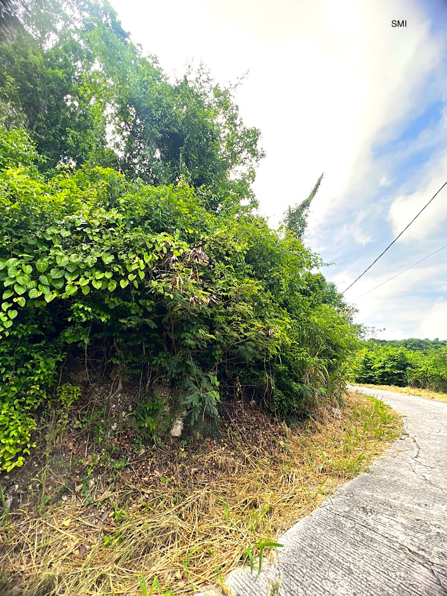 Land Pic Paradis Rare find