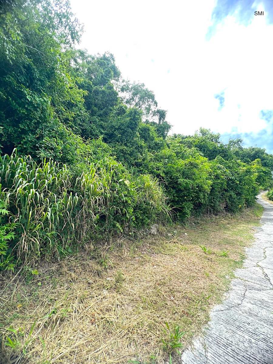 Land Pic Paradis Rare find