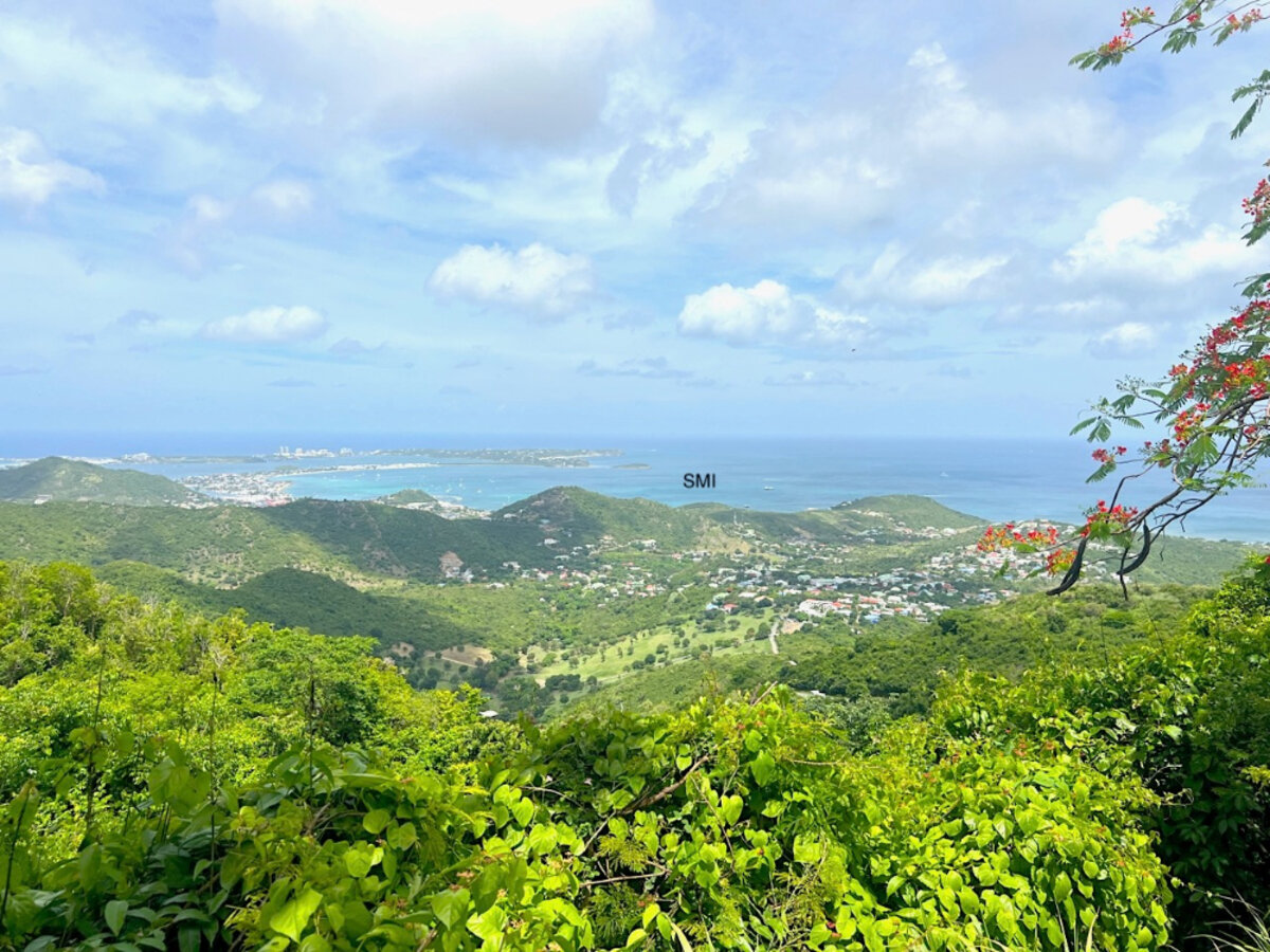 Land Pic Paradis Rare find