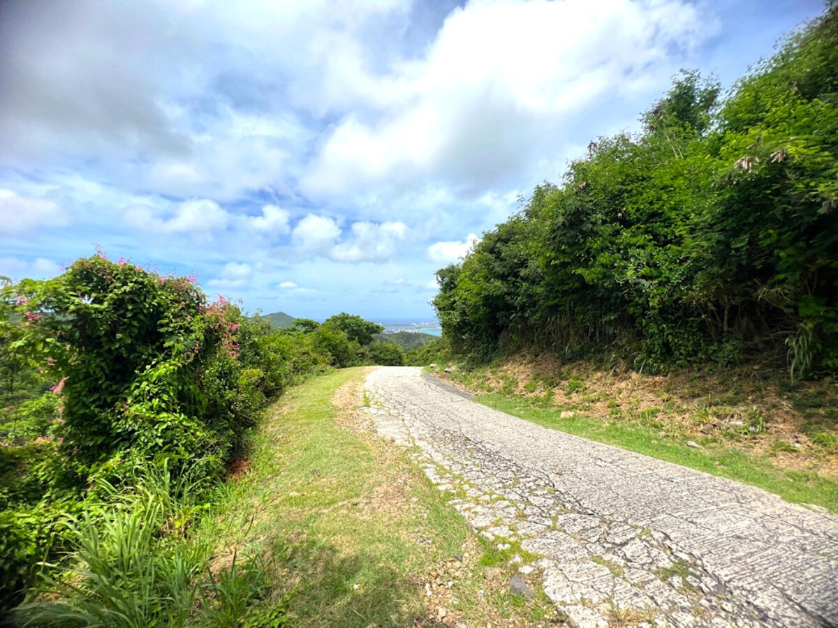 Land Pic Paradis Rare find