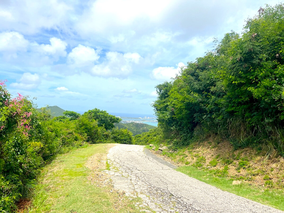 Land Pic Paradis Rare find