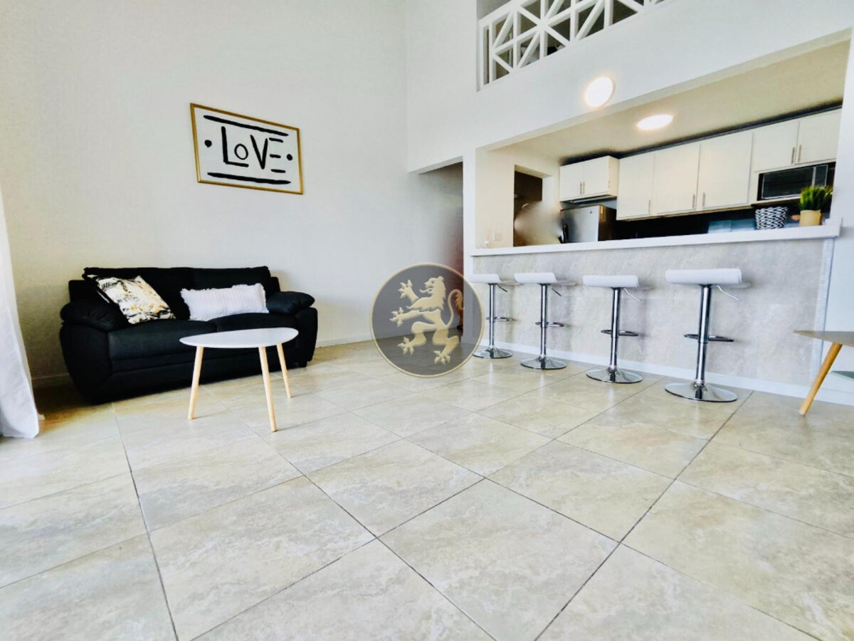 Turnkey Investment: Stylish Studio & Loft & Income