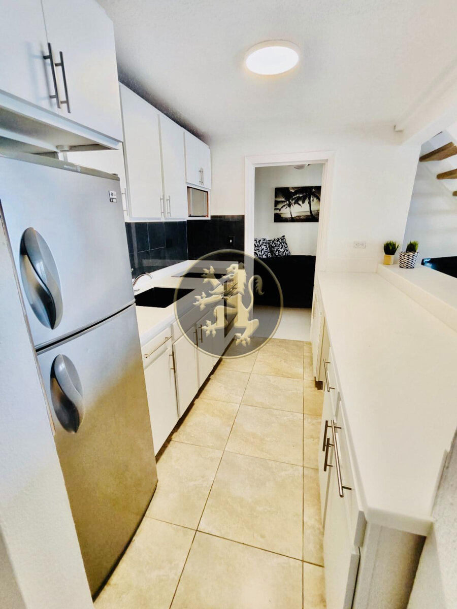 Turnkey Investment: Stylish Studio & Loft & Income