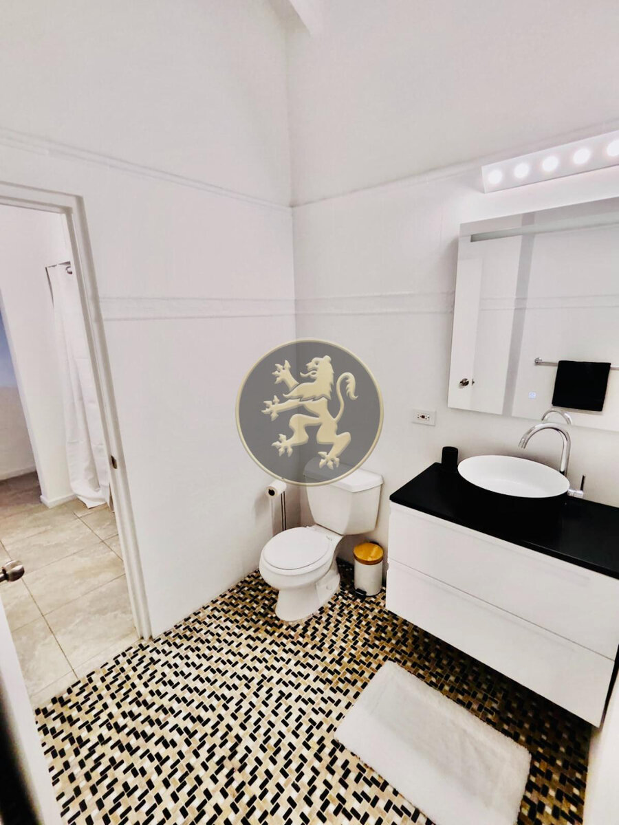 Turnkey Investment: Stylish Studio & Loft & Income