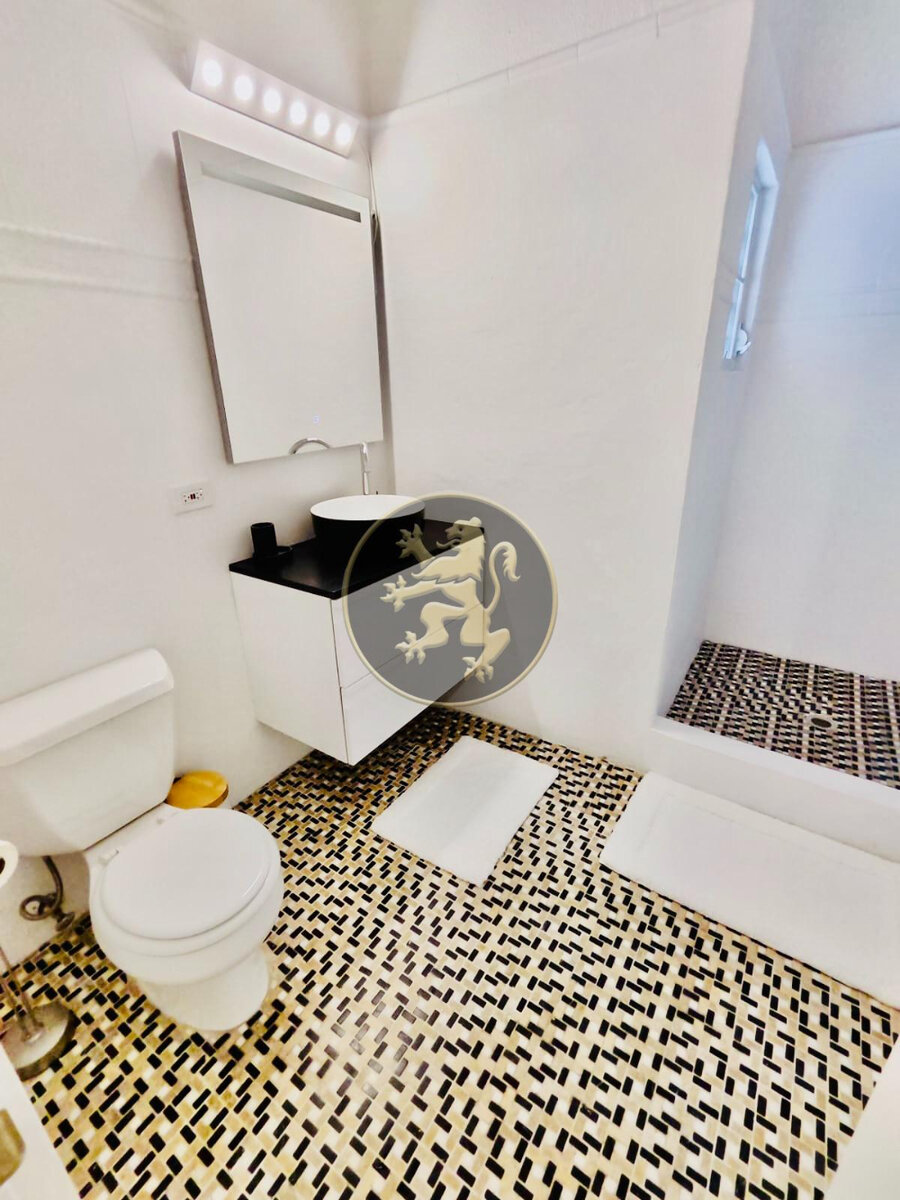 Turnkey Investment: Stylish Studio & Loft & Income