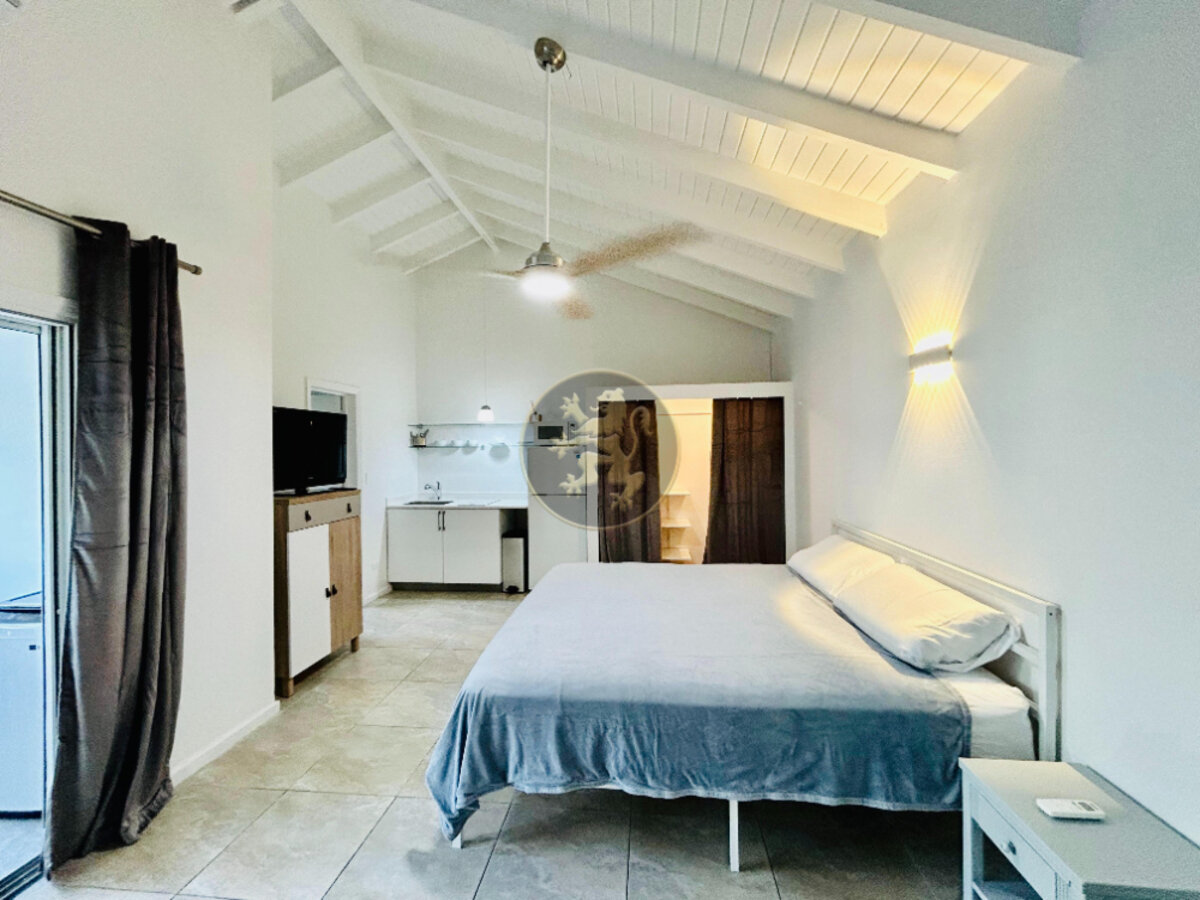 Turnkey Investment: Stylish Studio & Loft & Income