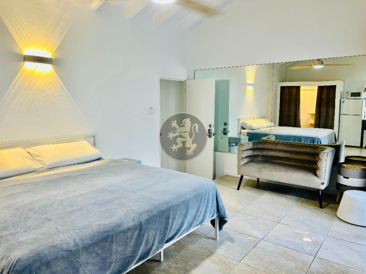 Turnkey Investment: Stylish Studio & Loft & Income