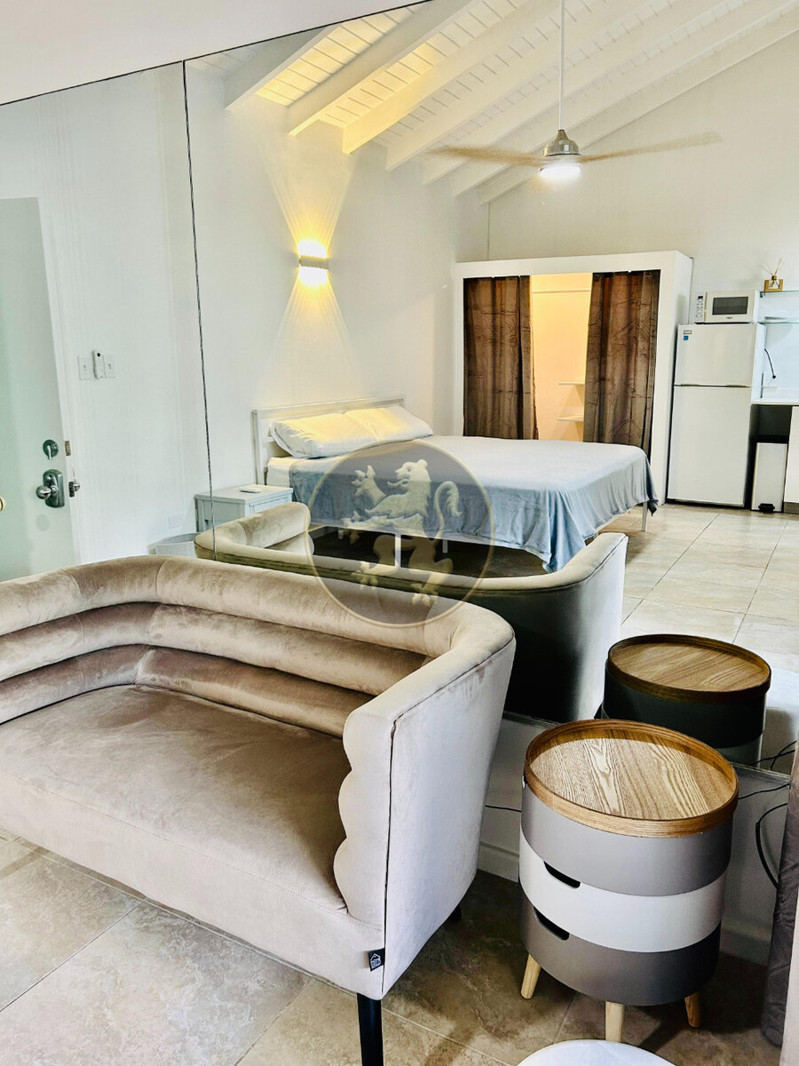 Turnkey Investment: Stylish Studio & Loft & Income