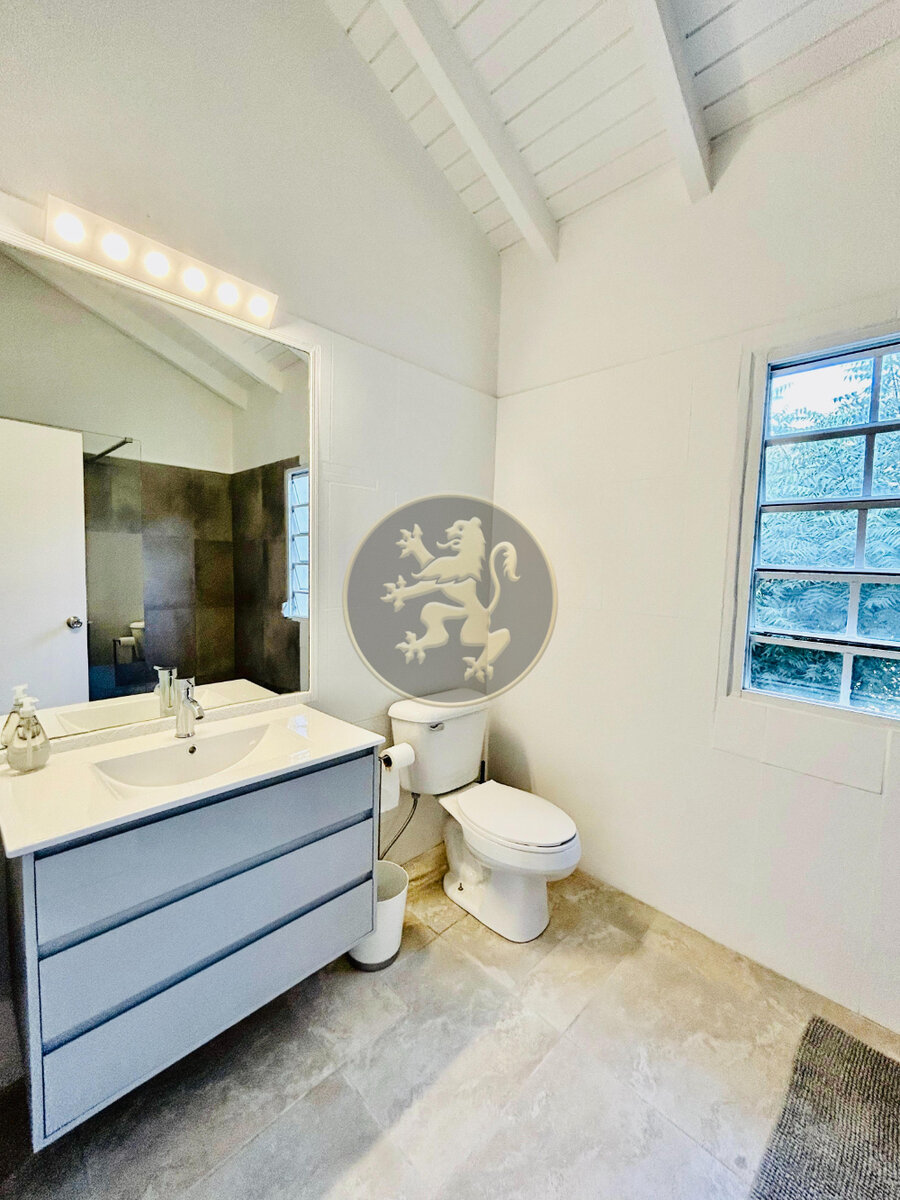 Turnkey Investment: Stylish Studio & Loft & Income