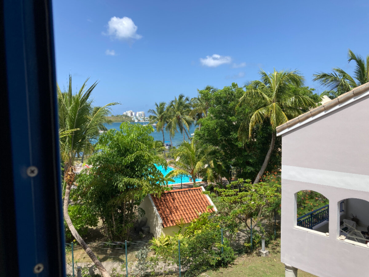 TYPE 3 EN DUPLEX A BAIE NETTLE