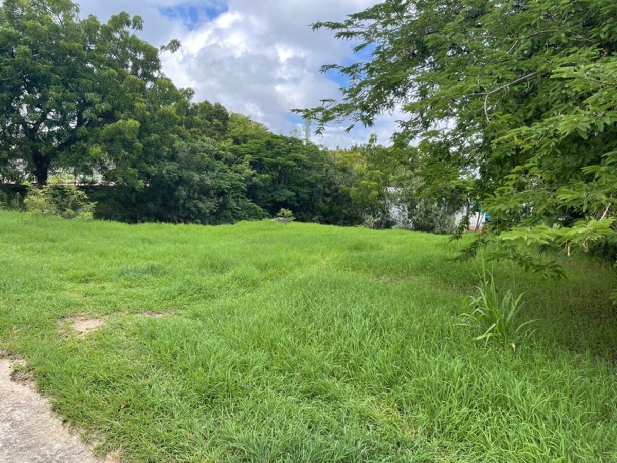 Terrain Saint Martin (978)