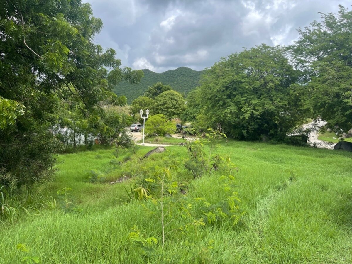 Terrain Saint Martin (978)