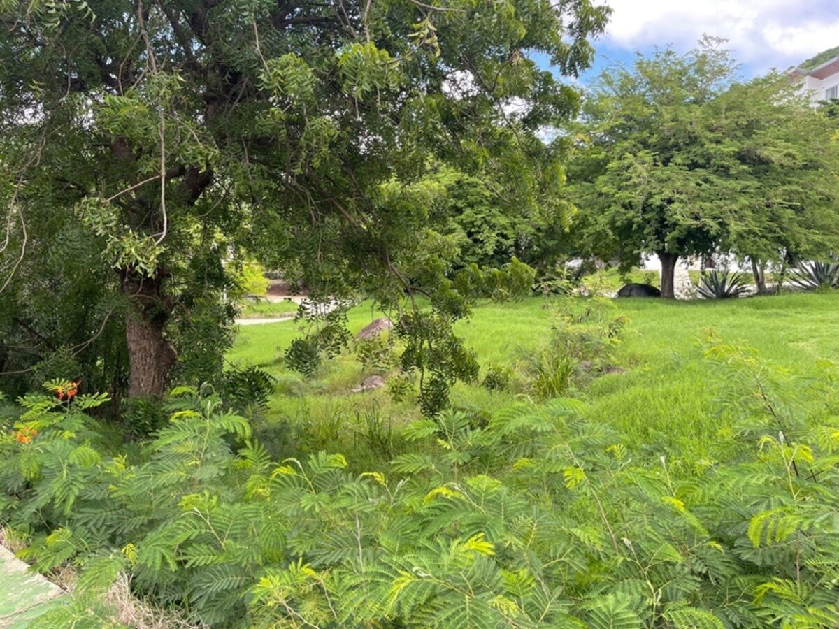 Terrain Saint Martin (978)