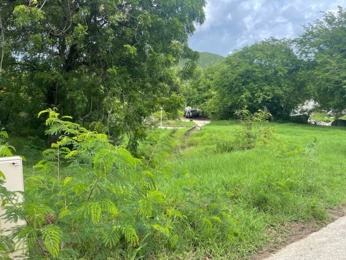 Terrain Saint Martin (978)