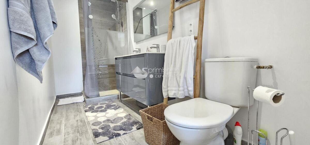 Proche Marigot - Apt 1 Chb 2 Sdb meublé