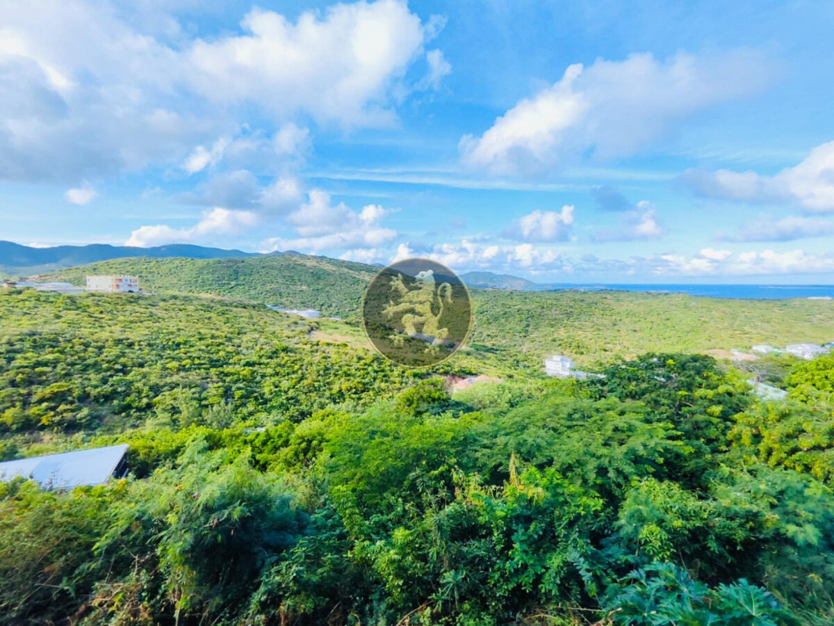 🔸4BR/4BA LUXURY VILLA🔸📍Oyster Pond #400