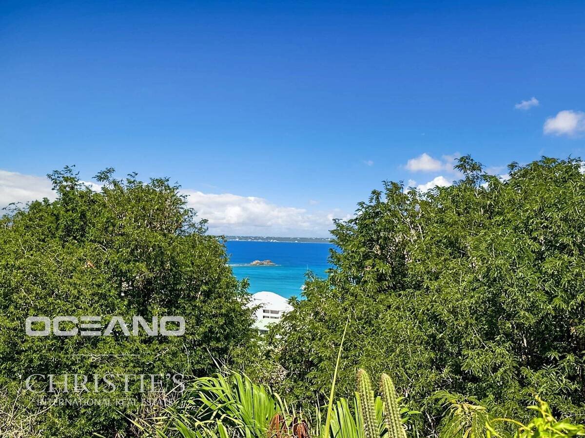 T4 House with Private Pool - Anse Marcel