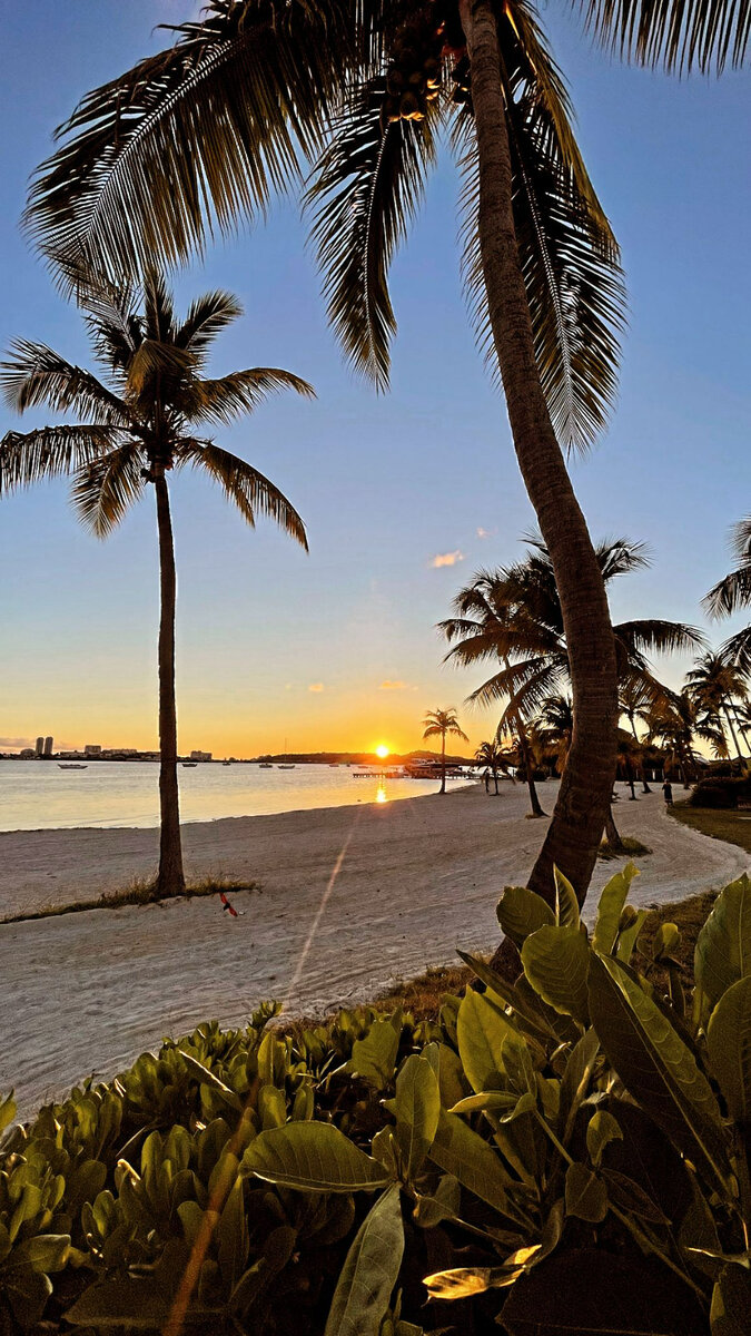 Appartement 2 chambres meublé Baie Nettle