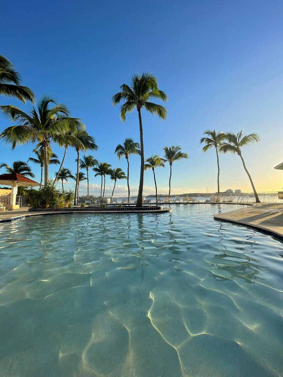 Appartement 2 chambres meublé Baie Nettle