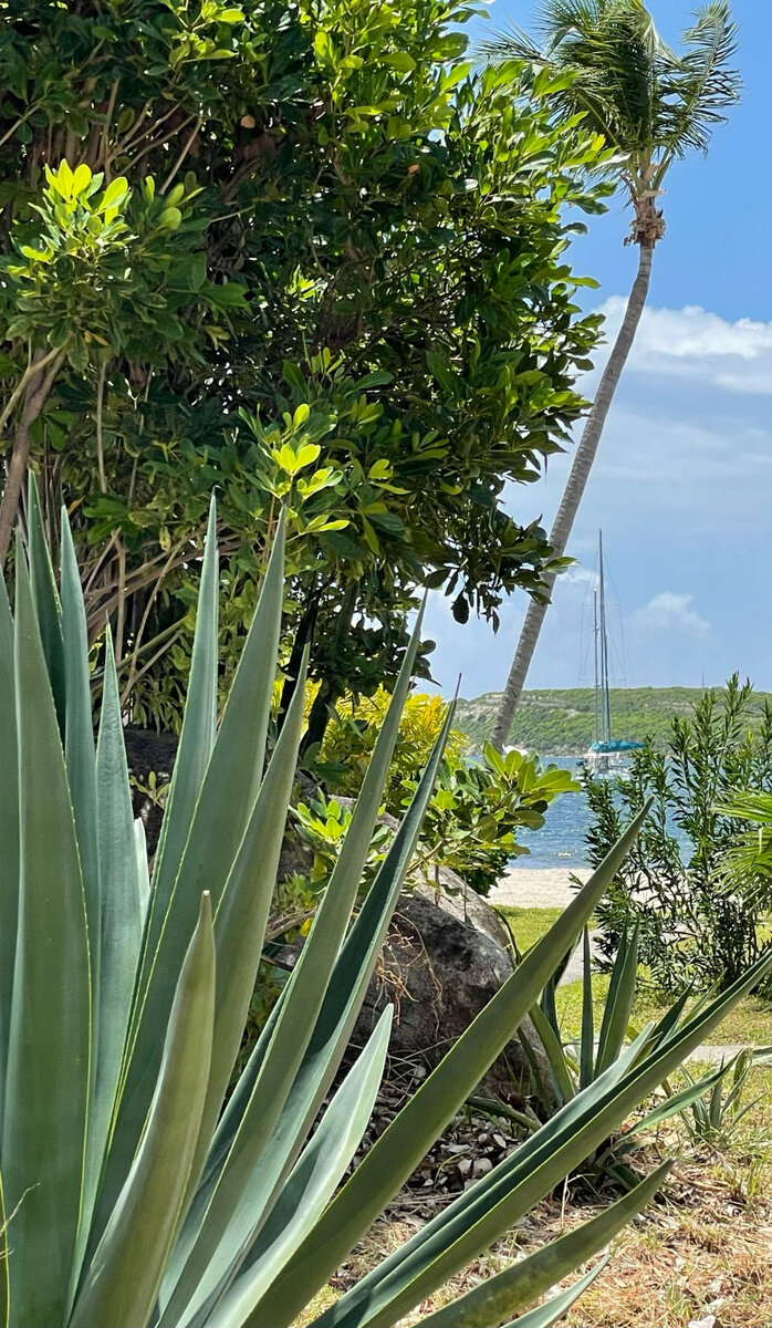 Appartement 2 chambres meublé Baie Nettle