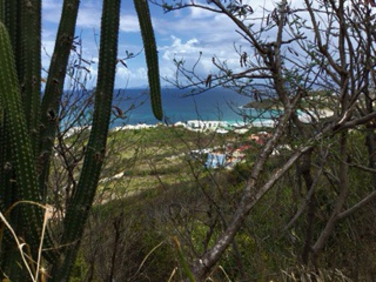 Rare plot of land with stunning sea view in a sought-after area