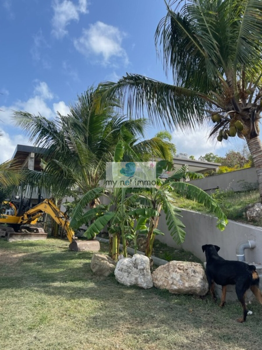 Terres-Basses Propriete sur 12300M2 10% Rentabilite