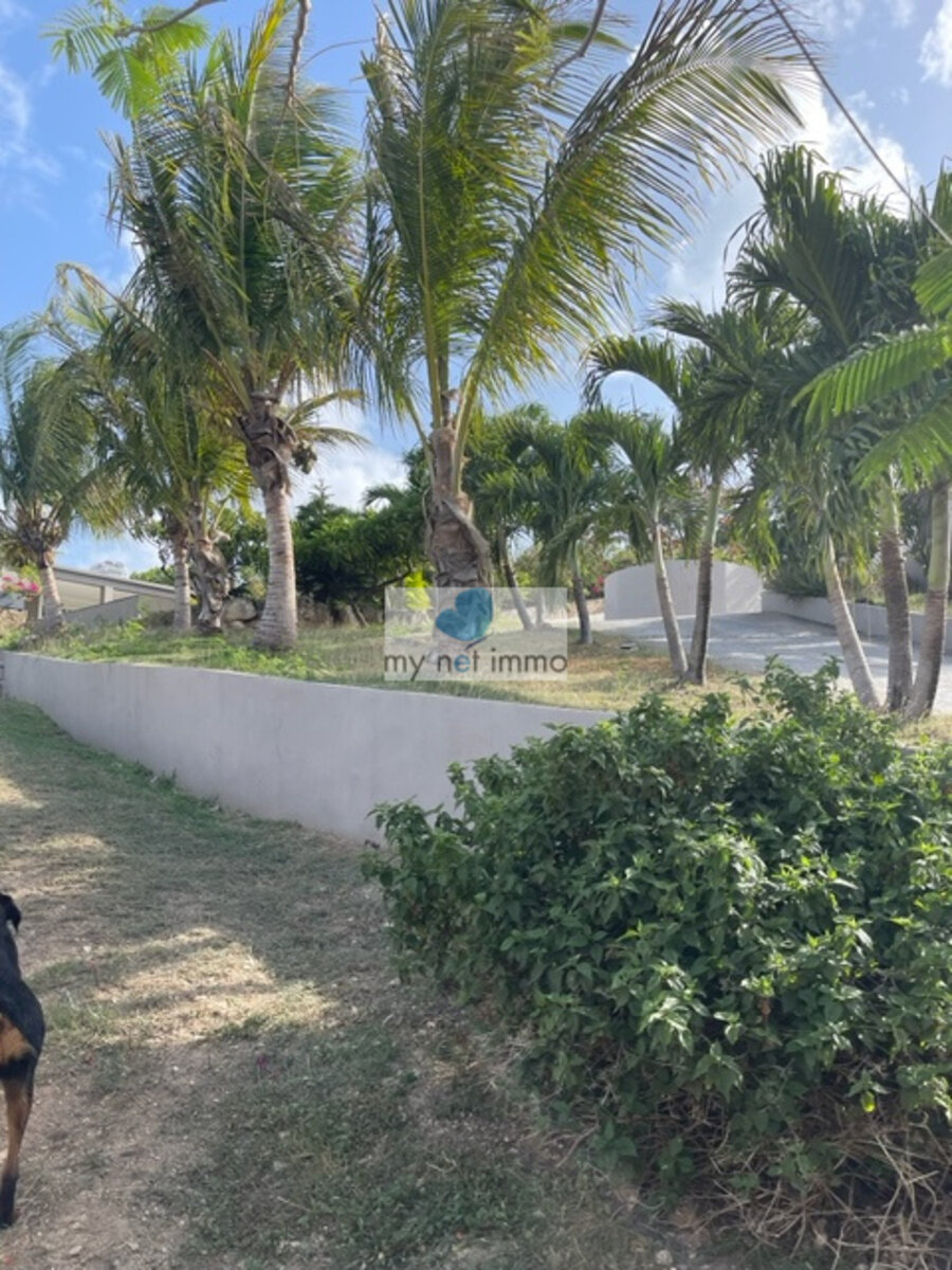 Terres-Basses Propriete sur 12300M2 10% Rentabilite