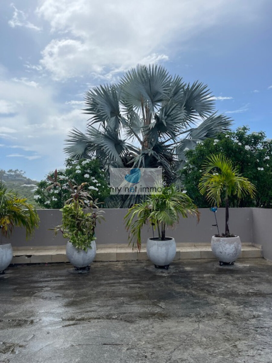 Terres-Basses Propriete sur 12300M2 10% Rentabilite