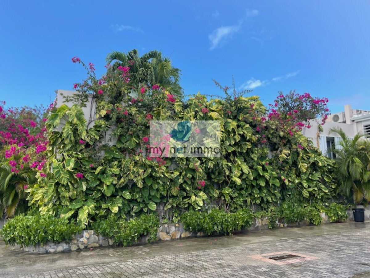 Terres-Basses Propriete sur 12300M2 10% Rentabilite