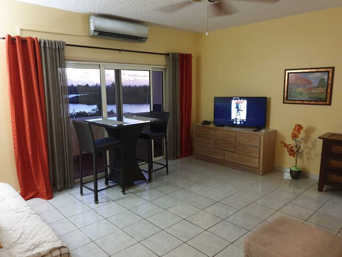 Spacious 1-Bedroom Condo with Breathtaking Views – Prime