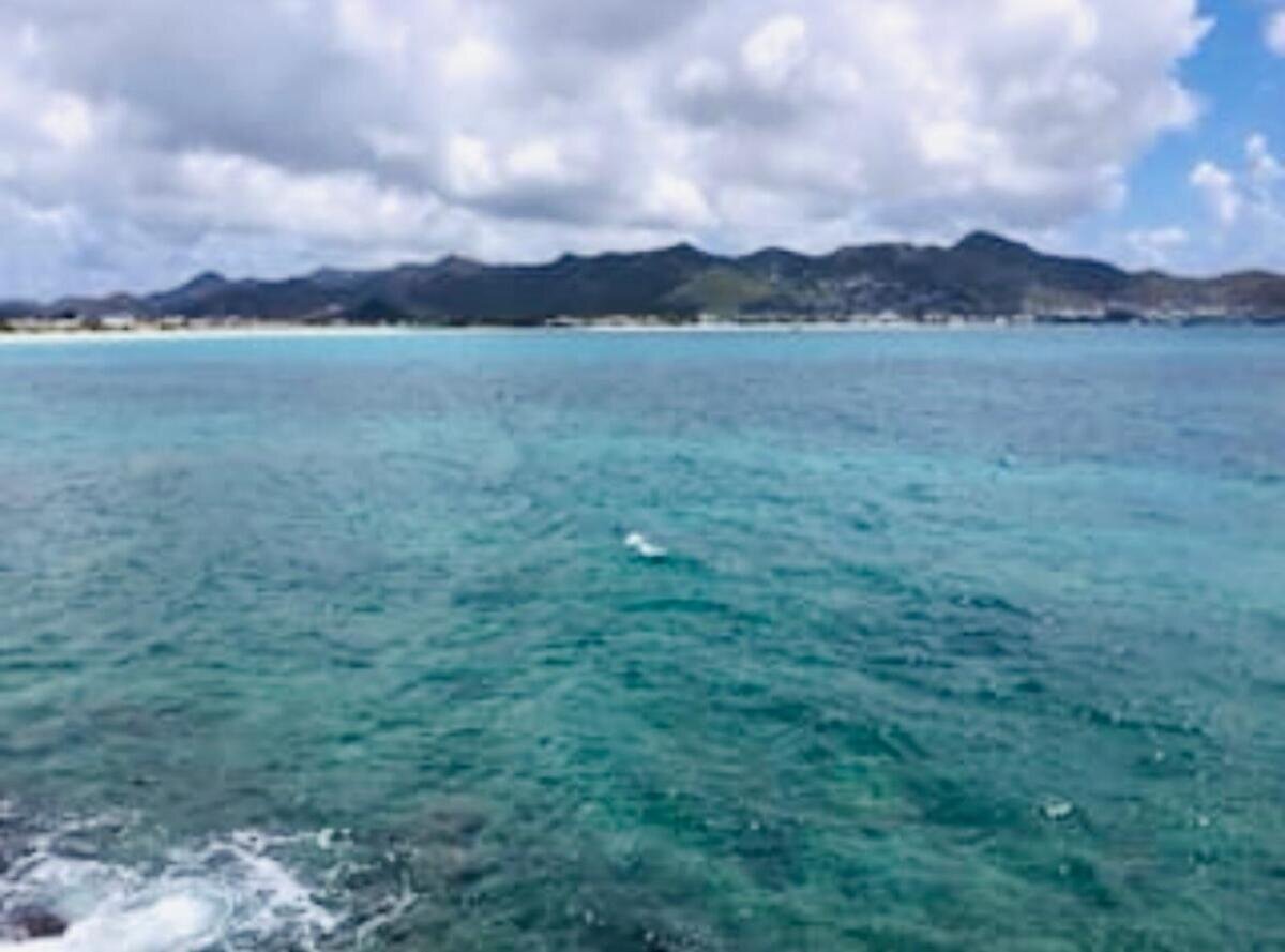 Appartement de luxe vue mer époustouflante (neuf)