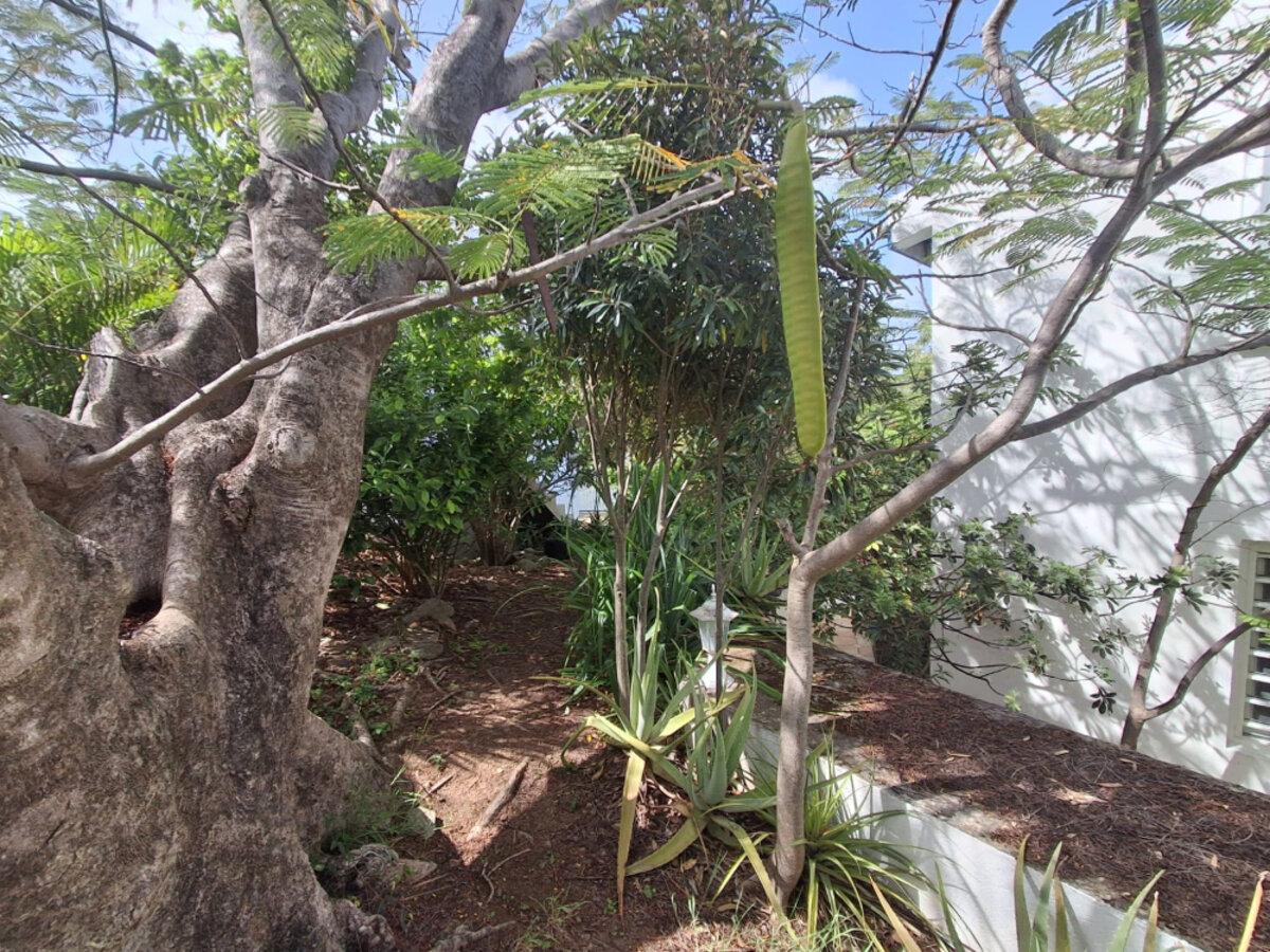 5-Bedroom Villa + 2-Bedroom House Stunning Views